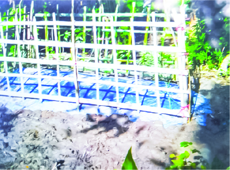 Image of মো: আমিনুল ইসলাম আমিন